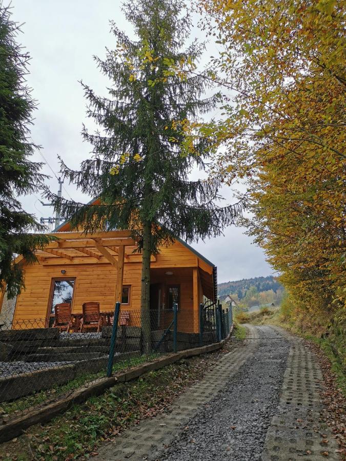 Chalet Gorskie D1